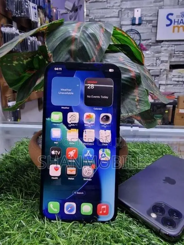 Apple iPhone 12 Pro Max (Used)