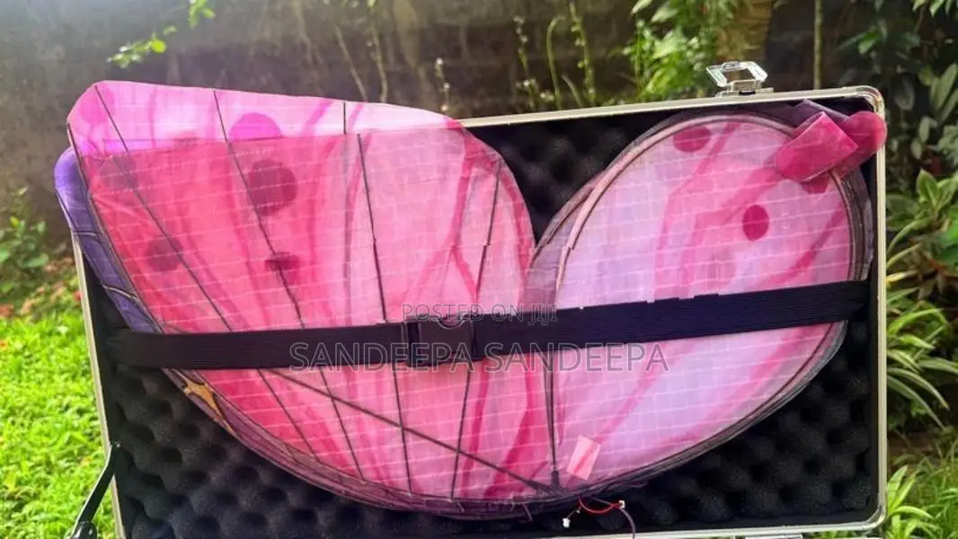 RC Flying Butterfly Drone With 4 Battery