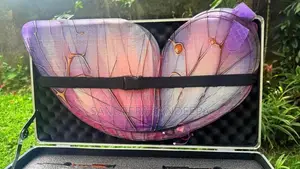 RC Flying Butterfly Drone With 4 Battery