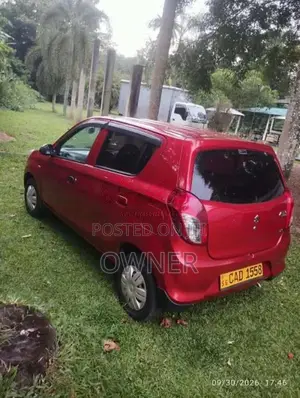 Suzuki Alto 2014 Car (Used)