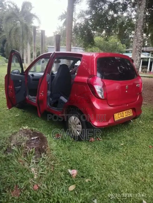 Suzuki Alto 2014 Car (Used)