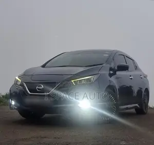 Nissan Leaf 2023 Car (Used)