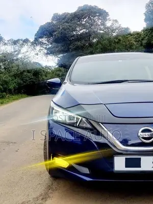 Nissan Leaf 2023 Car (Used)