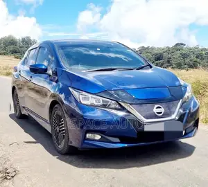 Nissan Leaf 2023 Car (Used)