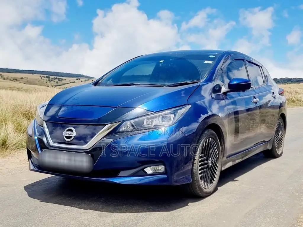 Nissan Leaf 2023 Car (Used)