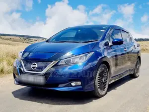 Nissan Leaf 2023 Car (Used)