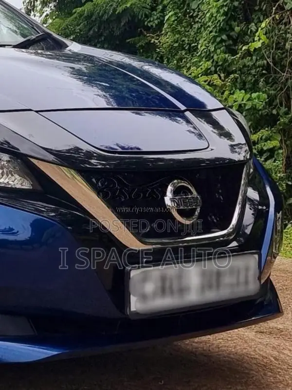 Nissan Leaf 2023 Car (Used)