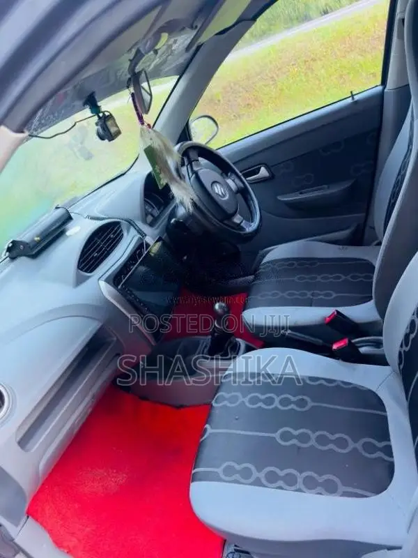 Suzuki Alto 2015 Car (Used)