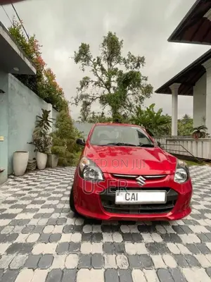 Suzuki Alto 2015 Car (Used)
