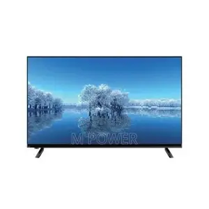 WD24NM Wisdom 24" LED TV