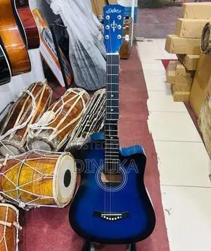 Acoustic Guitar
