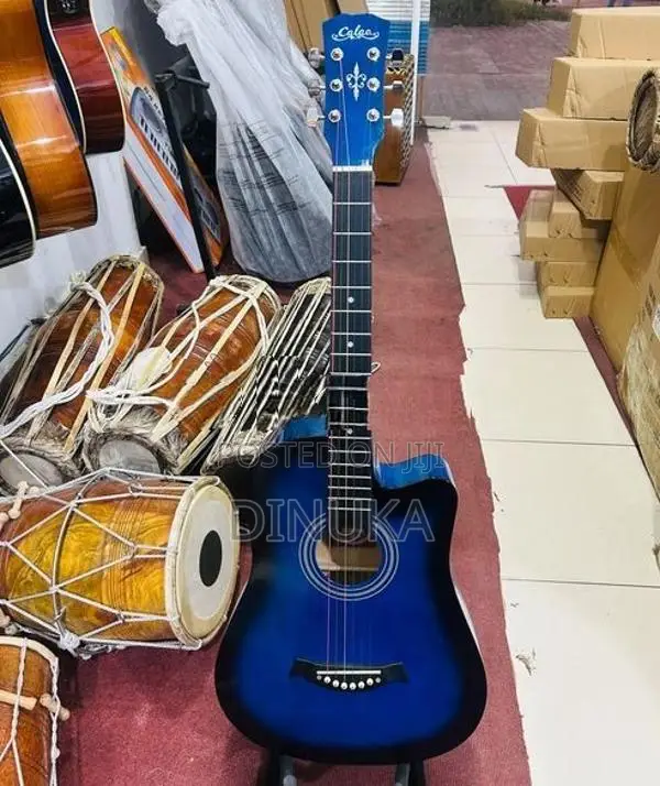 Acoustic Guitar