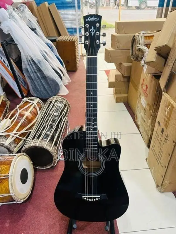 Acoustic Guitar