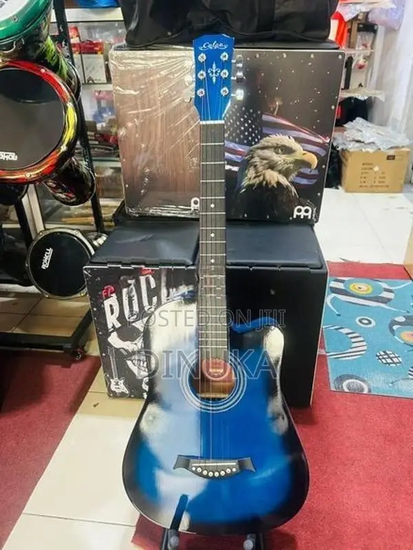 Acoustic Guitar
