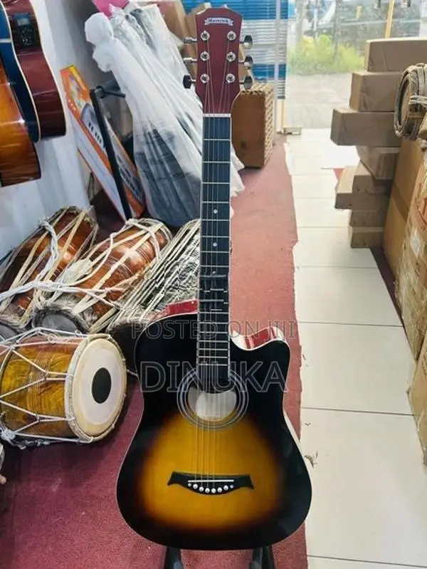 Acoustic Guitar