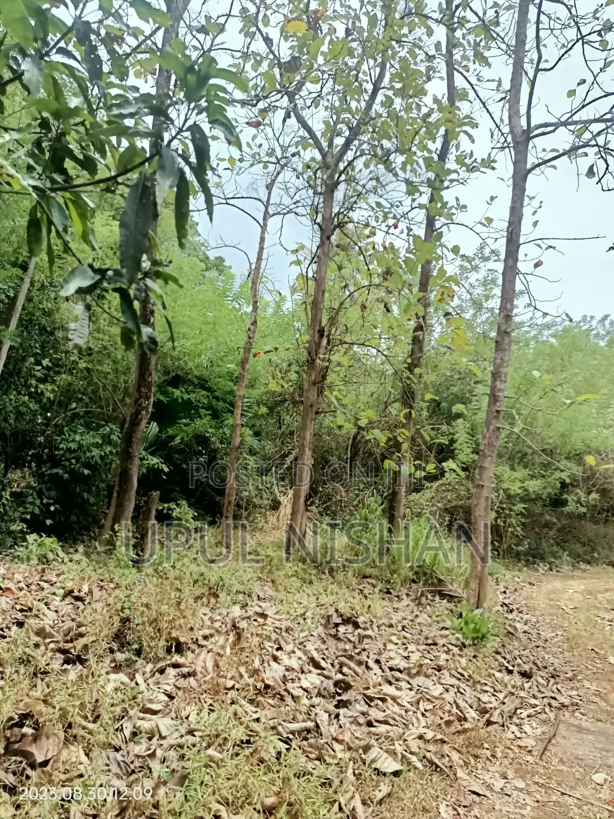 Narammala, Ganegoda Land for the Sale