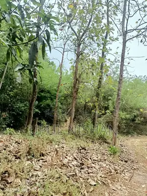 Narammala, Ganegoda Land for the Sale