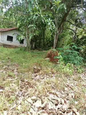 Narammala, Ganegoda Land for the Sale
