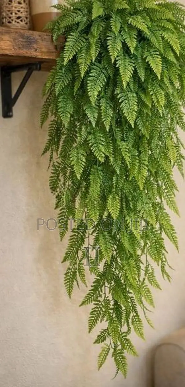 Artificial Persian Fern Vine