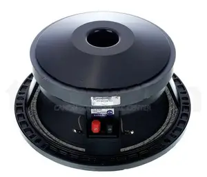 RCF 10 Size Speaker Italy