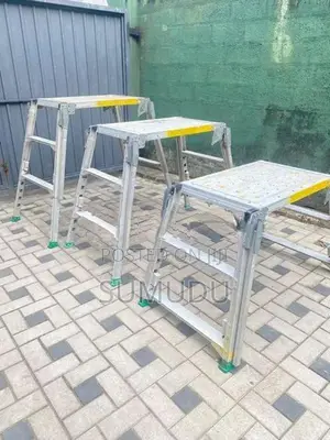 ladder adjustable