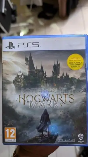 Sony Hogwarts Legacy ps5