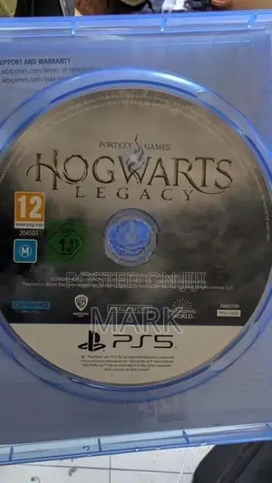Sony Hogwarts Legacy ps5