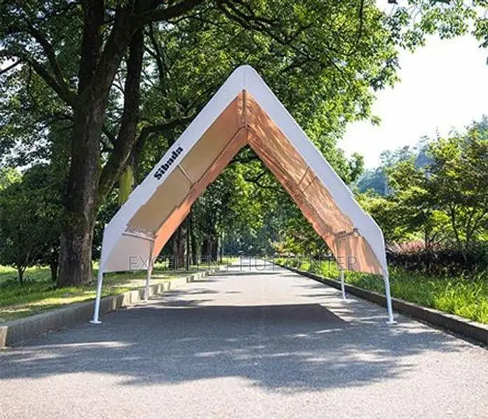 10*10ft Assemble Canopy Triangular Tent hut
