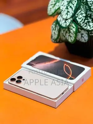 Apple iPhone 16 Pro Max 256GB (Used)