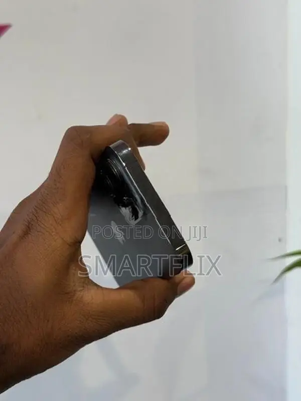 Apple iPhone 13 Pro (Used)