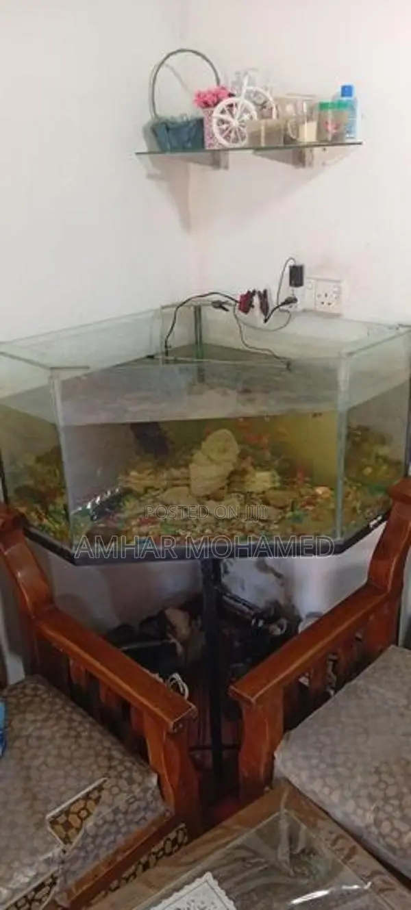 Fish Tank With Stand