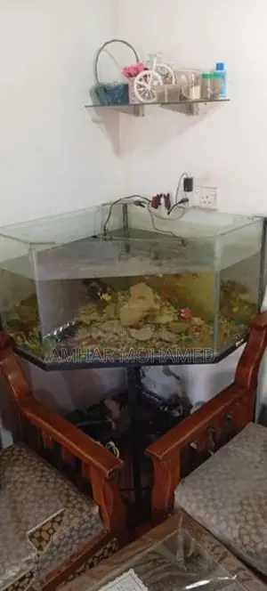 Fish Tank With Stand