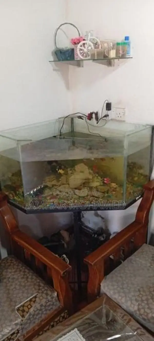 Fish Tank With Stand