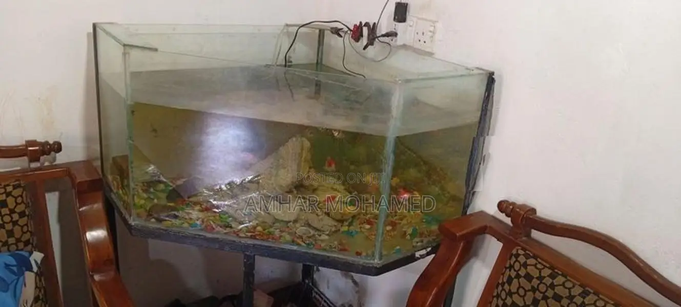 Fish Tank With Stand