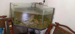 Fish Tank With Stand