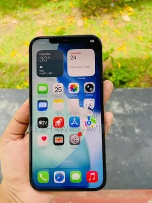 Apple iPhone 12 Pro Max (Used)