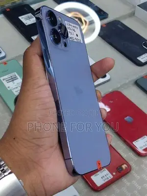 Apple iPhone 13 Pro Max (Used)