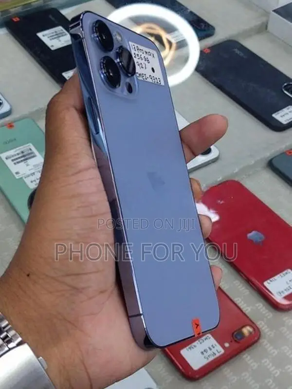 Apple iPhone 13 Pro Max (Used)