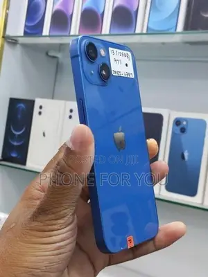 Apple iPhone 13 (Used)