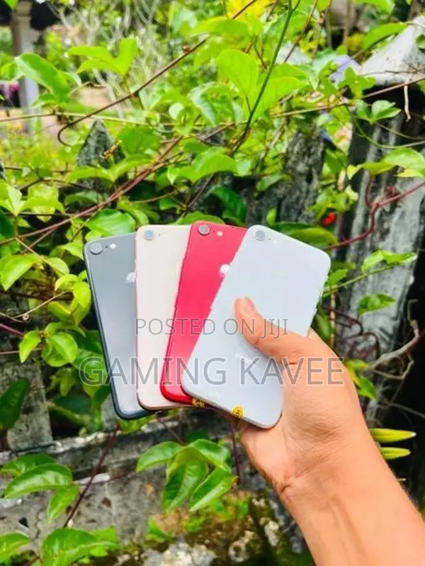 Apple iPhone 8 (Used)
