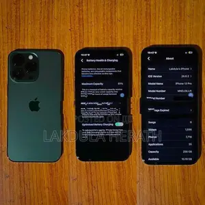 Apple iPhone 13 Pro (Used)