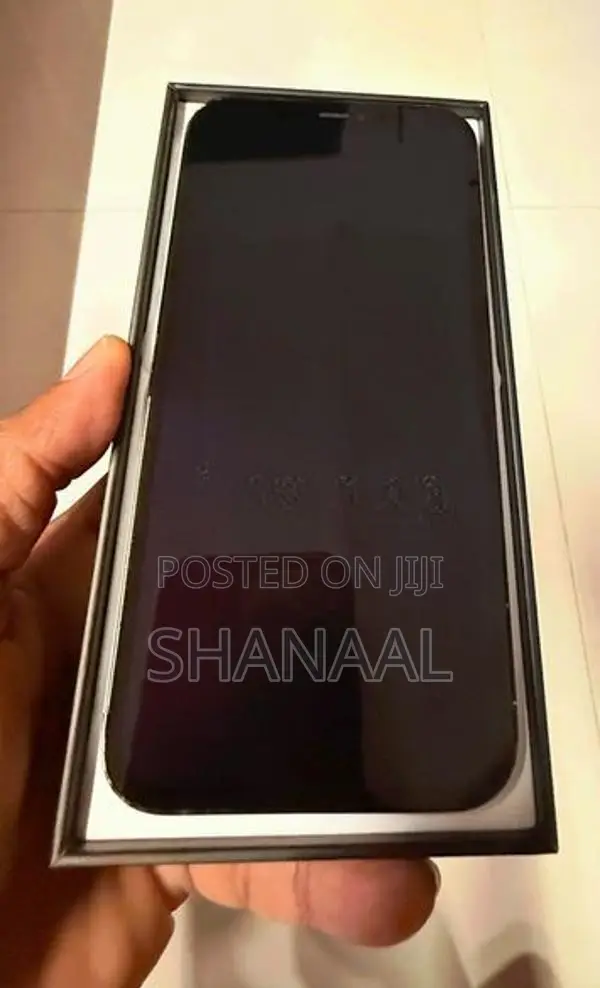 Apple iPhone 12 Pro Max Space Blue (Used)