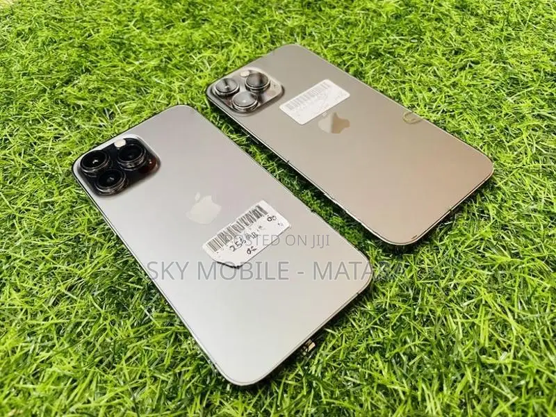 Apple iPhone 13 Pro Max 256GB (Used)
