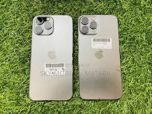 Apple iPhone 13 Pro Max 256GB (Used)