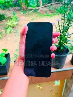 Apple iPhone 13 Pro (Used)