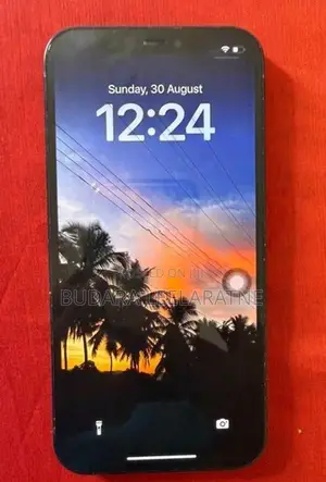 Apple iPhone 12 (Used)