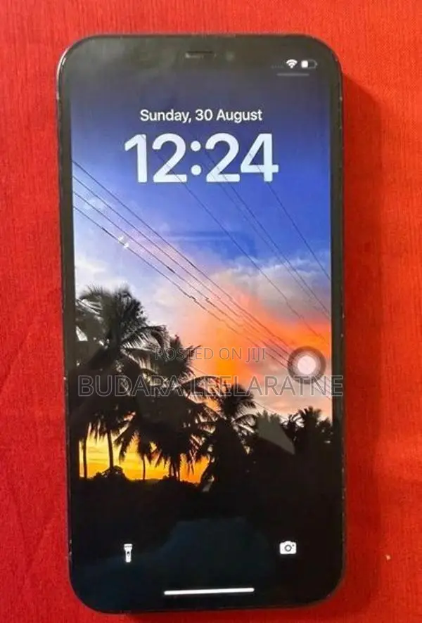 Apple iPhone 12 (Used)