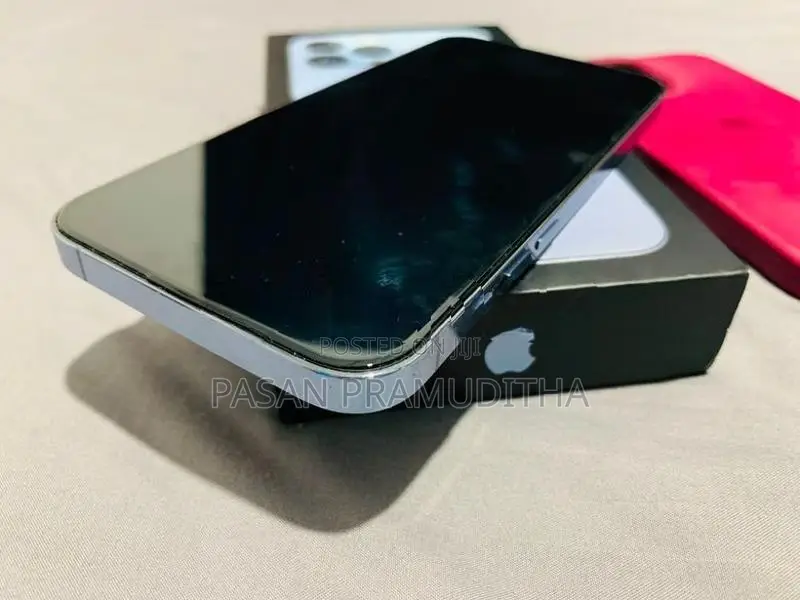 Apple iPhone 13 Pro Max 256GB (Used)