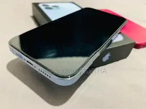 Apple iPhone 13 Pro Max 256GB (Used)