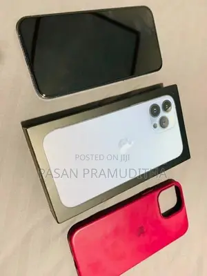 Apple iPhone 13 Pro Max 256GB (Used)